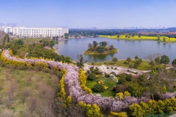 一条视频364万次播放、20万个点赞，这个斜杠青年不一般！