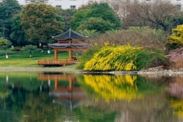 成电春景派送中，请查收！