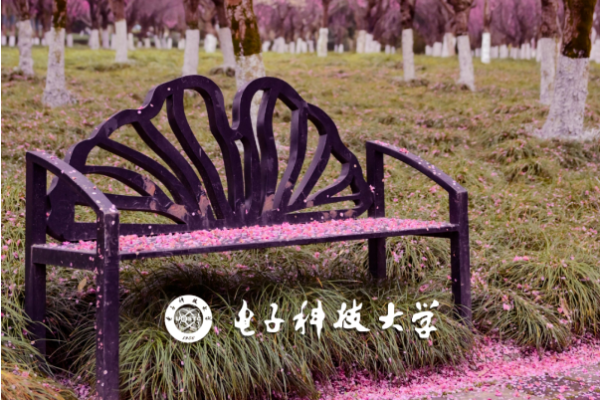 在成电校园 收集春天的味道