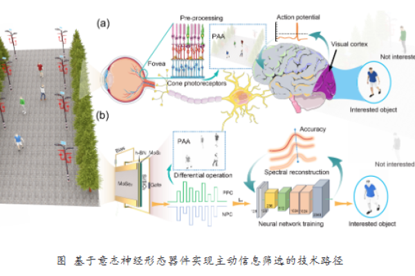 基础院巫江/沈凯团队在Nature Communications上发表最新研究成果